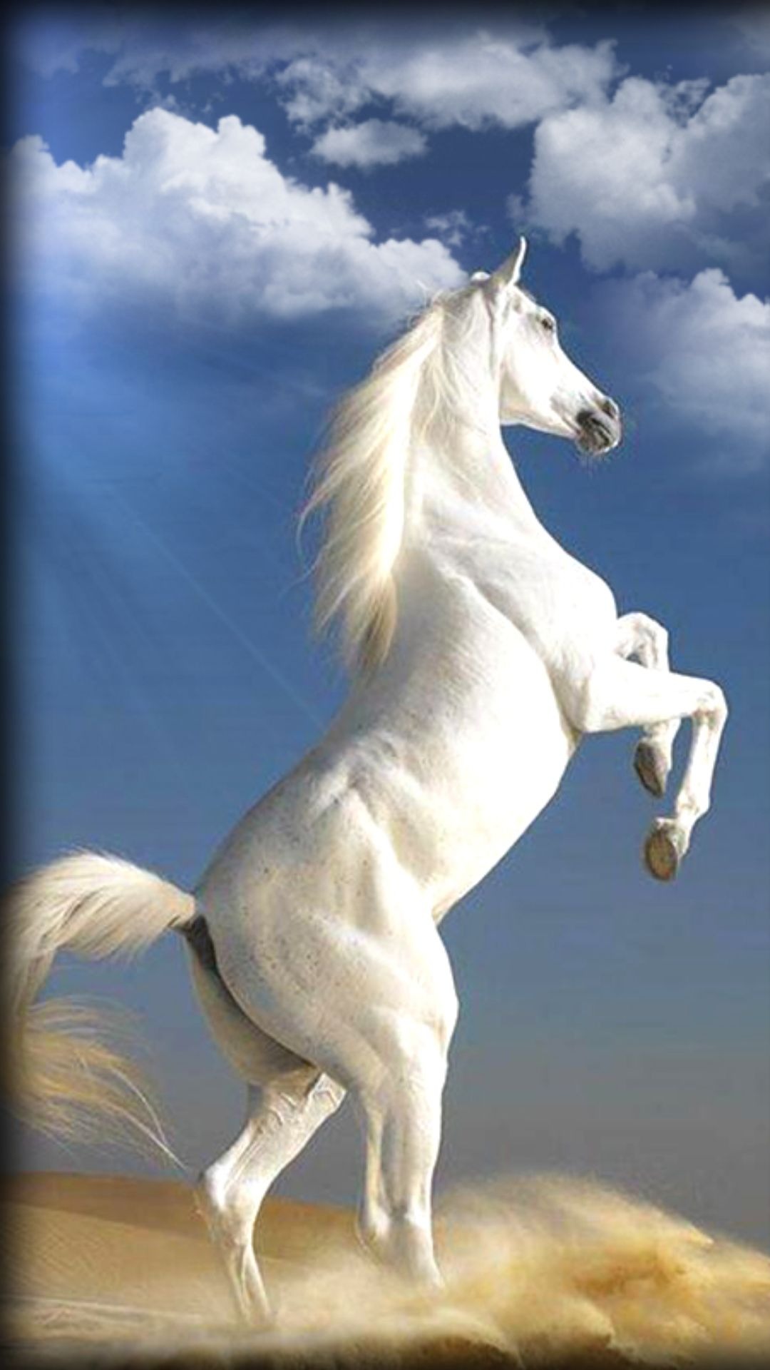 Chia sẻ nhiều hơn 103 hình nền ngựa trắng tuyệt vời nhất  Tin học Đông Hòa
