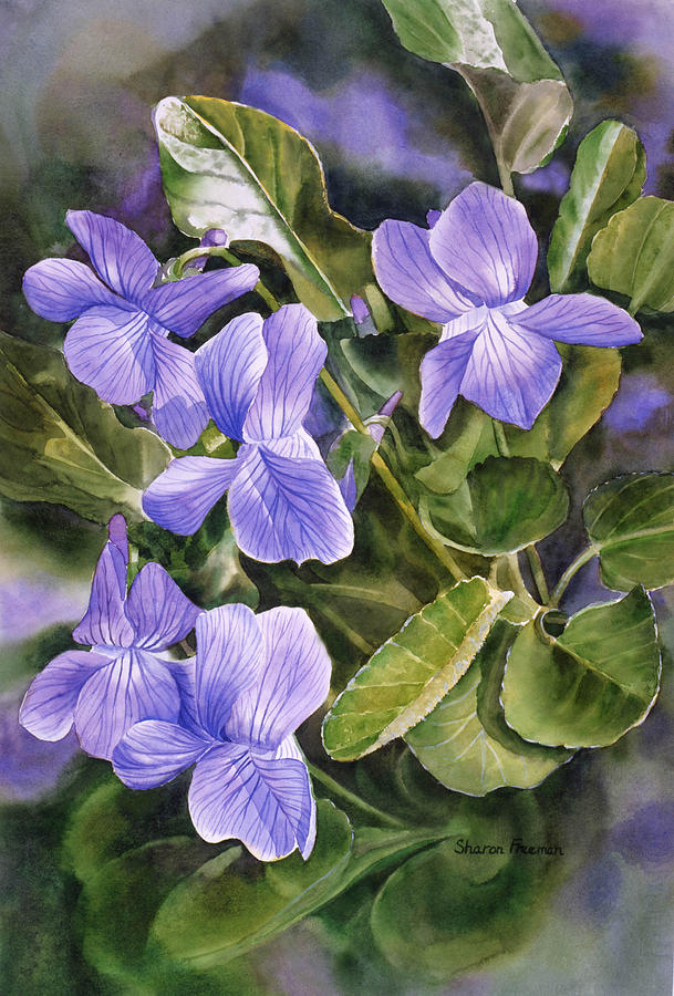 Hướng dẫn cách vẽ hoa violet xanh đơn giản đẹp nhất