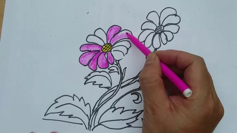 Hình vẽ cách vẽ bông hoa đẹp 3D 5 cánh đơn giản nhất   c3nguyentatthanhhpeduvn