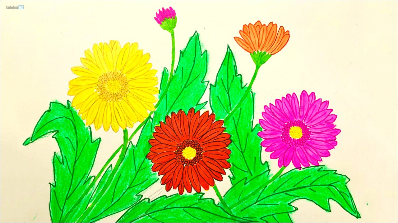 Top 7 vẽ hoa đơn giản mà đẹp mang lại cảm hứng cho bạn