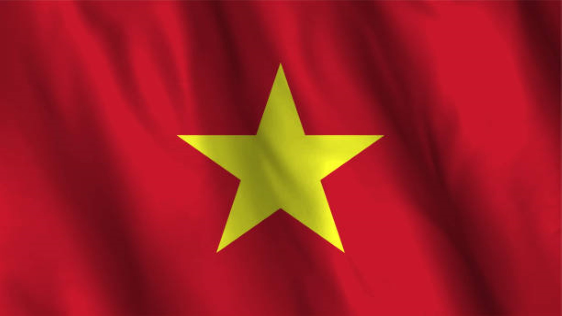 Ứng dụng Tạo hình nền động cờ Việt Nam 3D  Link tải free cách sử dụng