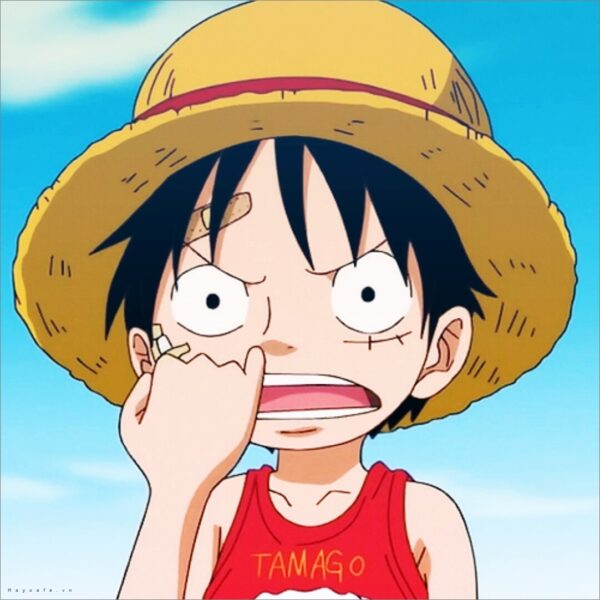hình ảnh avatar Luffy
