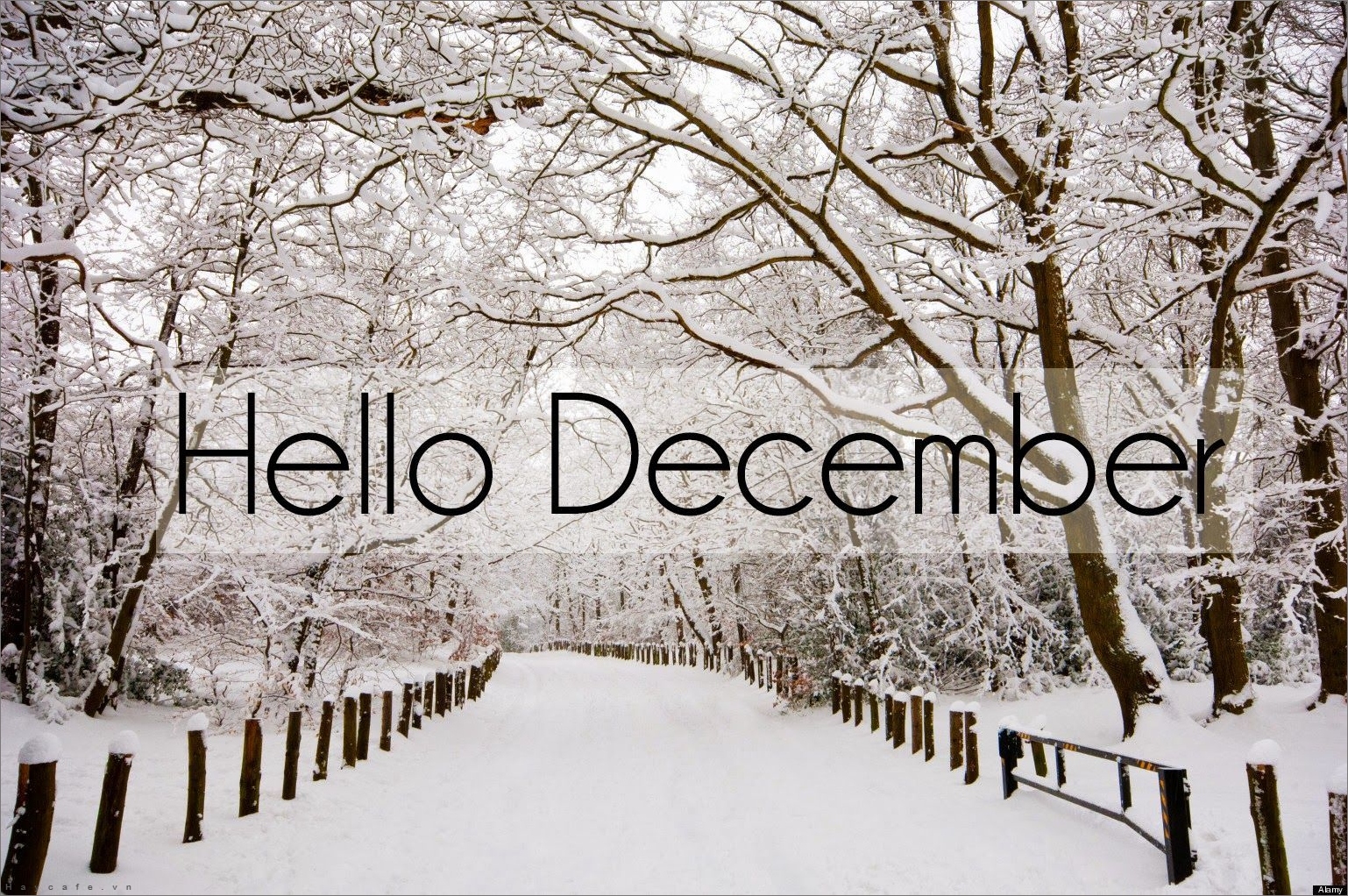 Hình ảnh về tháng 12 những hình ảnh đẹp về mùa đông Noel