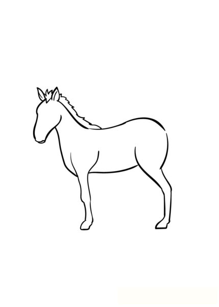 Vẽ con cái Ngựa bước 4