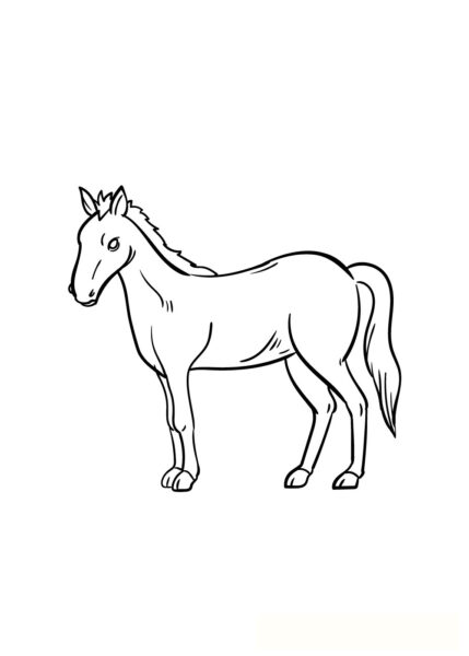 Vẽ con cái Ngựa bước 7