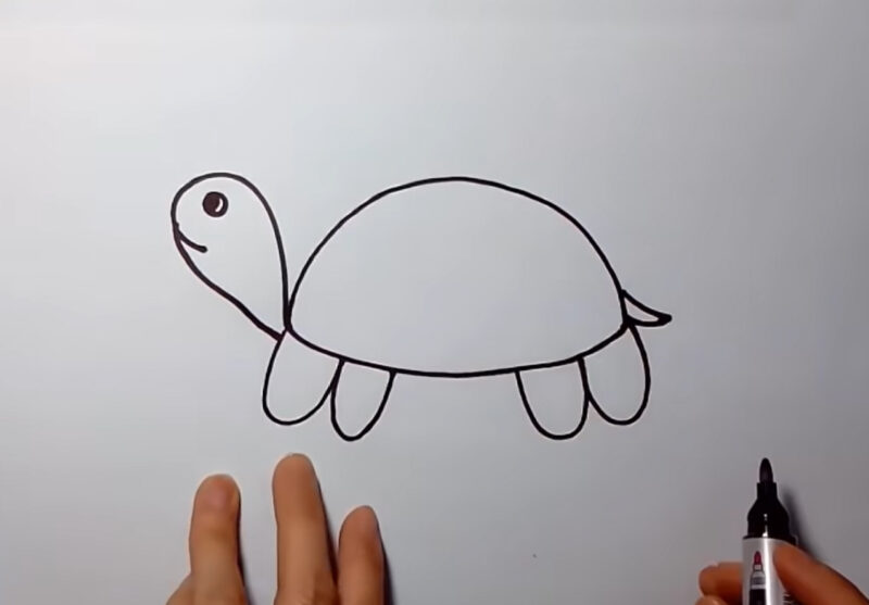 Cách vẽ con cái Rùa bước 5